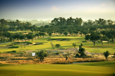 De layout van Elea Golf Club is fascinerend, mede door het inpassen van volgroeide johannesbroodbomen en olijfbomen. De al eerder genoemde verweerde kalksteen vormt een schitterend contrast met het diepe groen van de fairways en semi-roughs.
