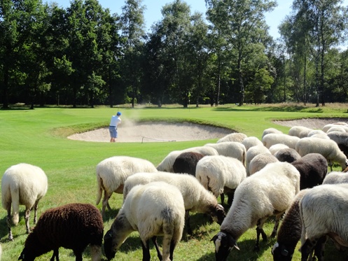 Golfclub De Gelpenberg